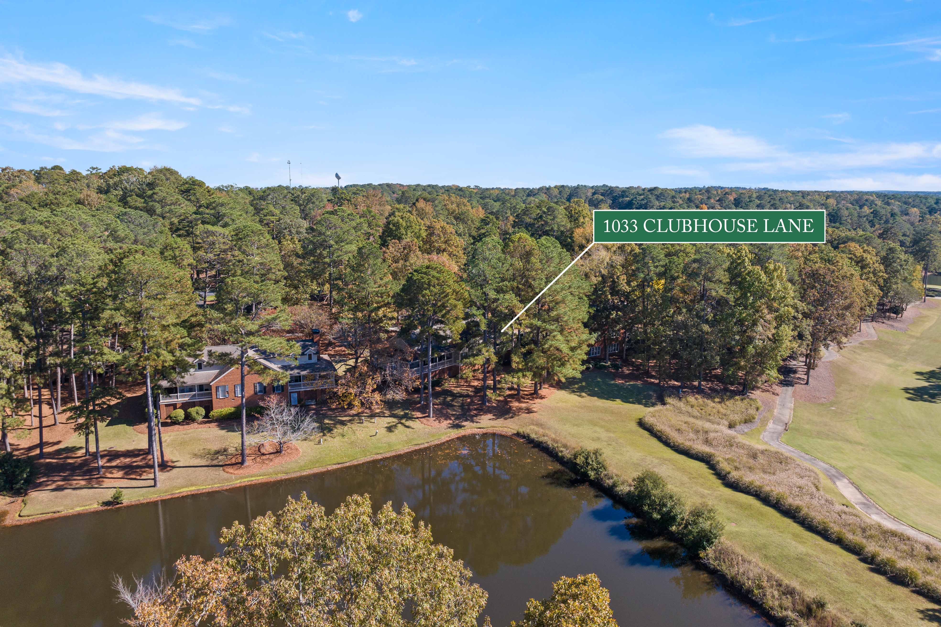 1033 Clubhouse Lane image 41